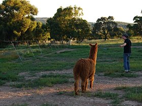 2007-12-- Jason leading Xeny (c) Huw Price.jpg